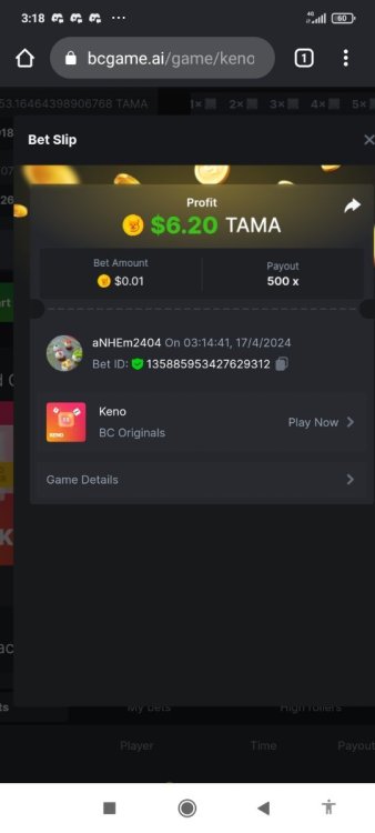 Screenshot_2024-04-17-03-18-40-742_com.android.chrome.jpg